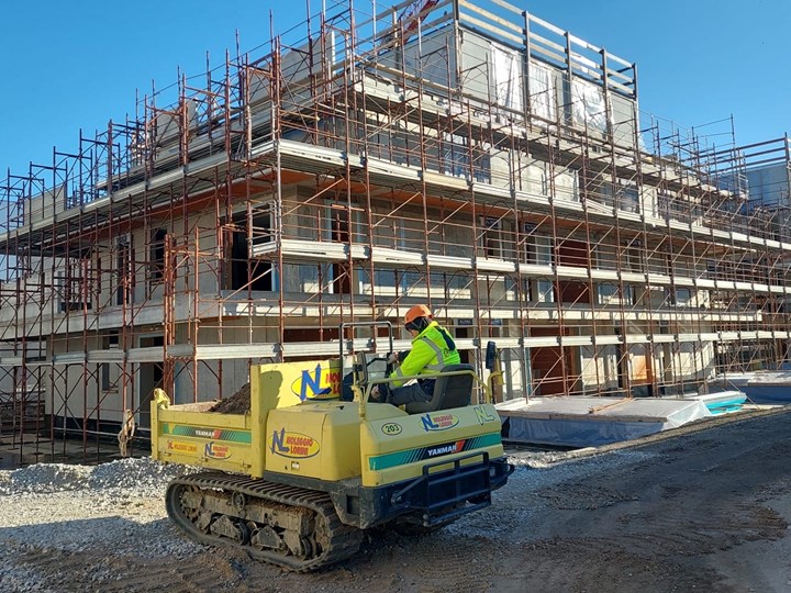 Dumper Yanmar Noleggio Lorini